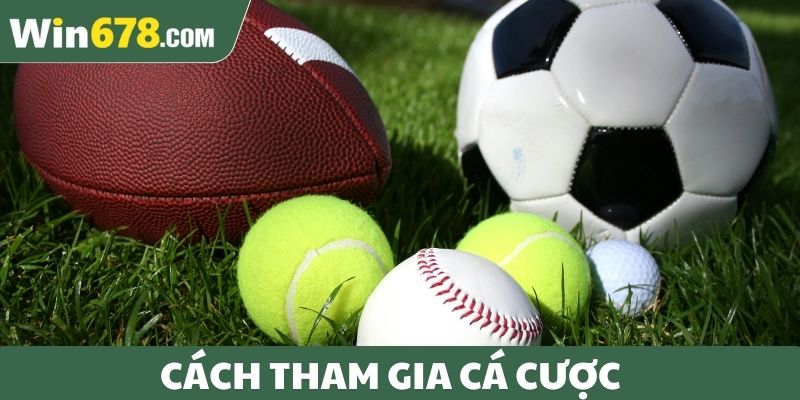 Cách tham gia cá cược